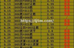 江南体育-帕尔马苦战不敌，保级形势岌岌可危